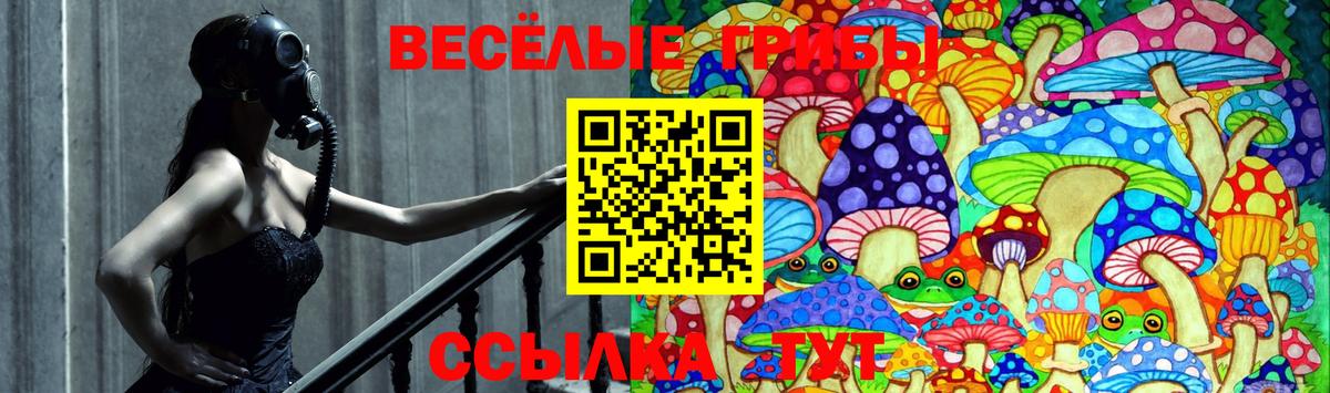 Псилоцибиновые грибы Magic Shrooms  Вход с VPN  Каменка  Галлюциногенные грибы MAGIC MUSHROOMS 